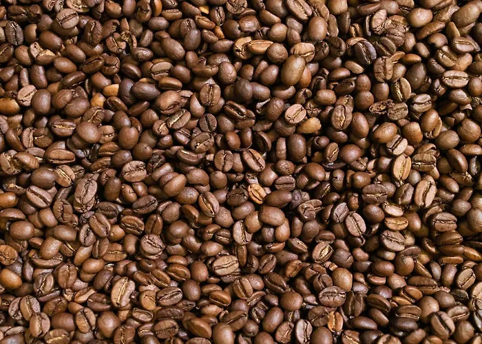 إيبيس بودجيت بوتسدامر بلاتس برلين